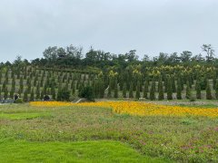 国庆节，新民墓园可目抗美援朝烈士陵园！