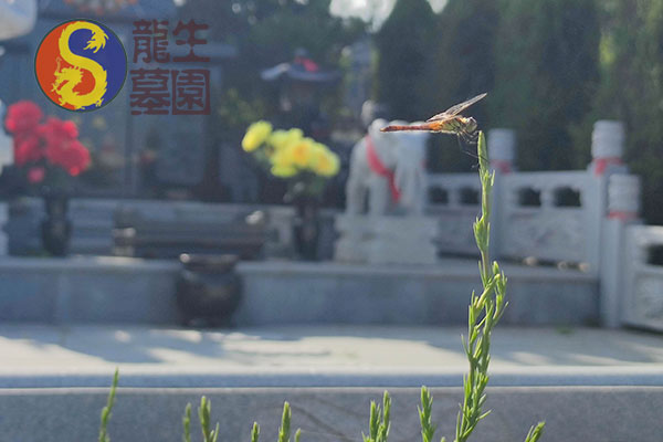 新民陵园与龙生墓园：沉浸于自然的山水环抱，感受一站式服务体验