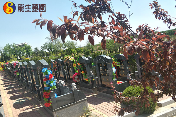 新民陵园下葬与安葬的区别：从概念到流程的全面解析