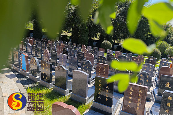 新民陵园保障城乡居民多层次、多元化安葬服务需求的有效举措